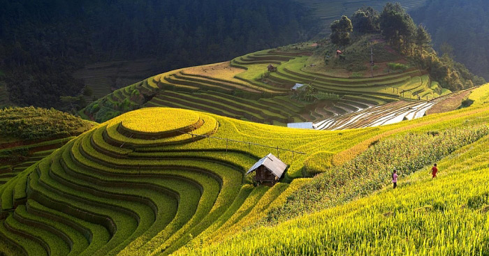 Vùng Tây Bắc gồm những tỉnh nào?