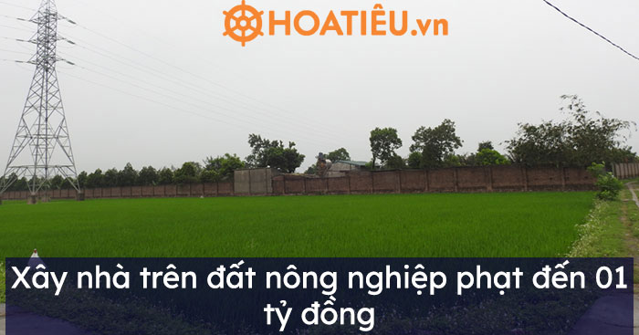 Xây nhà trên đất nông nghiệp phạt đến 01 tỷ đồng